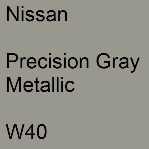 Nissan, Precision Gray Metallic, W40.